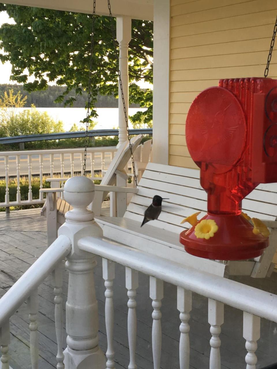 Toba'S Bed & Breakfast Lunenburg Exterior foto